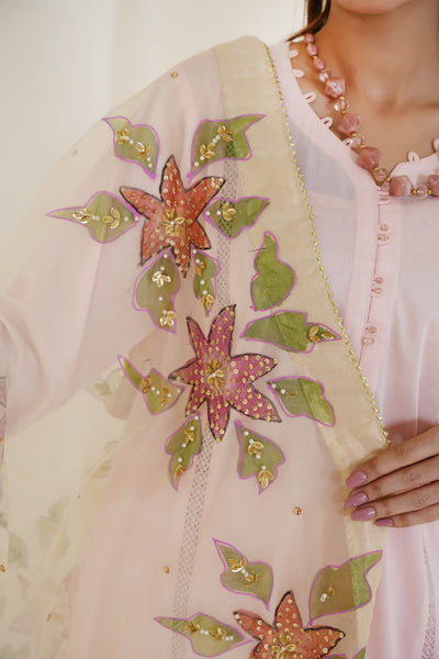 Faiqa Collection | Clothing Brand ✨ Premium Lawn & Organza Wear