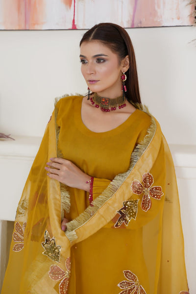 Faiqa Collection | Clothing Brand ✨ Premium Lawn & Organza Wear