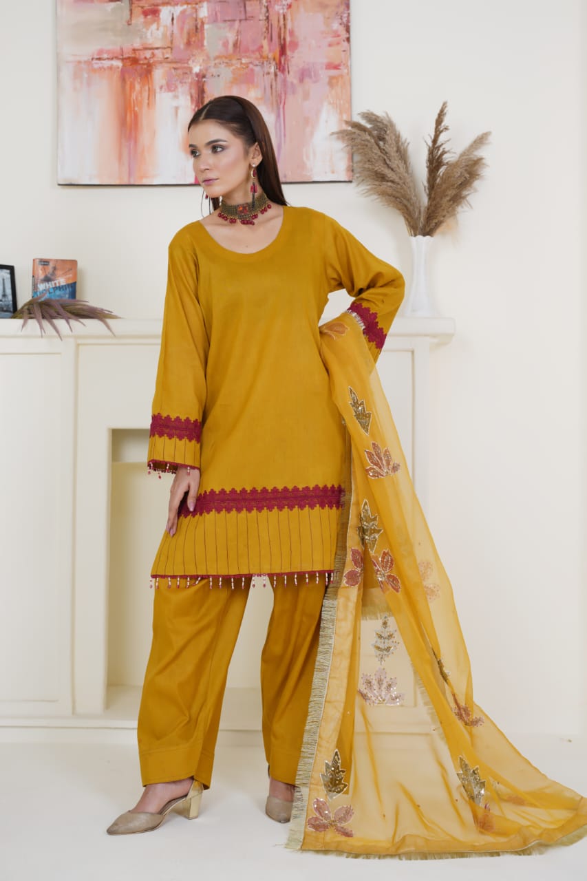 Faiqa Collection | Clothing Brand ✨ Premium Lawn & Organza Wear