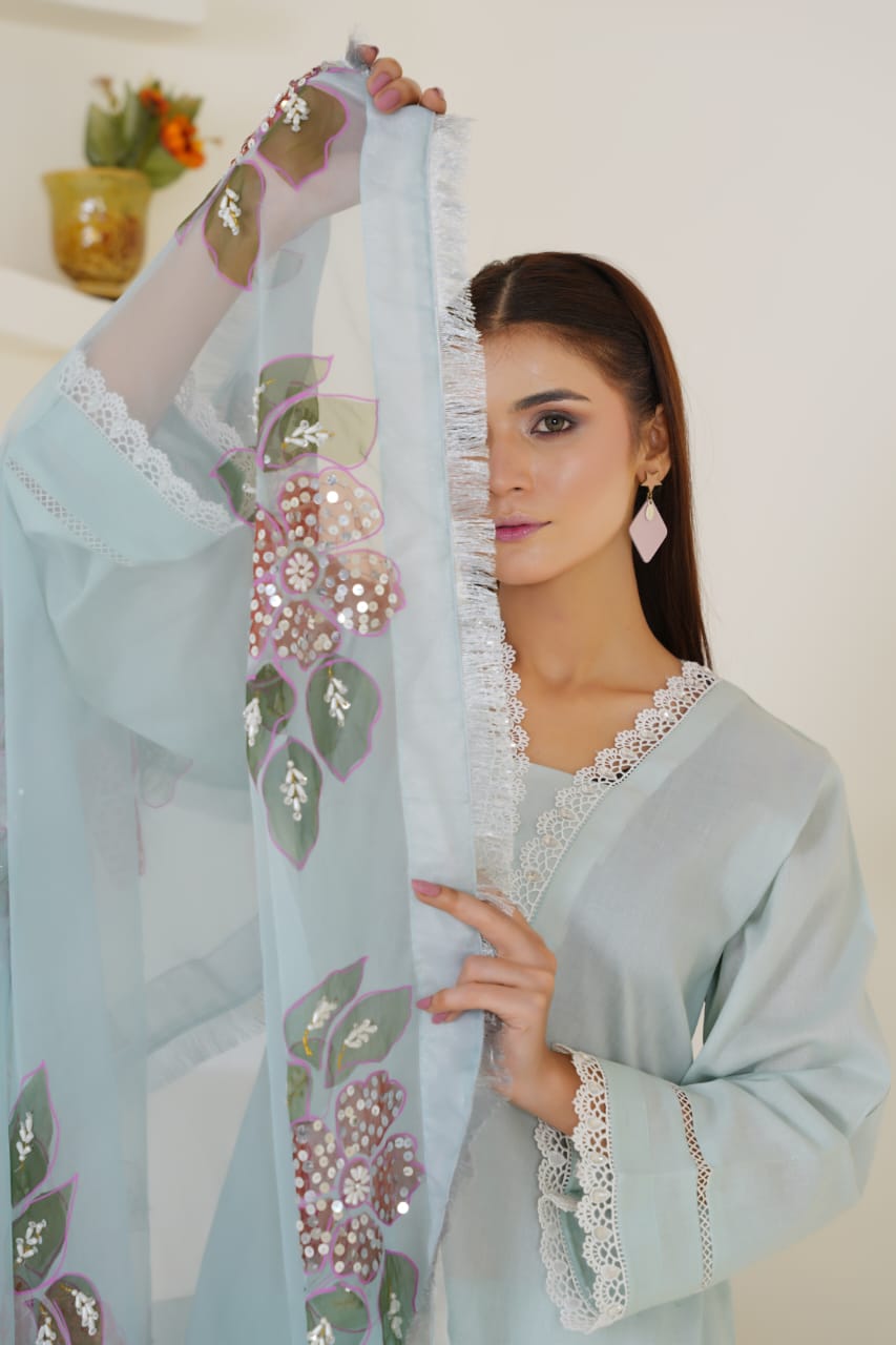 Faiqa Collection | Clothing Brand ✨ Premium Lawn & Organza Wear