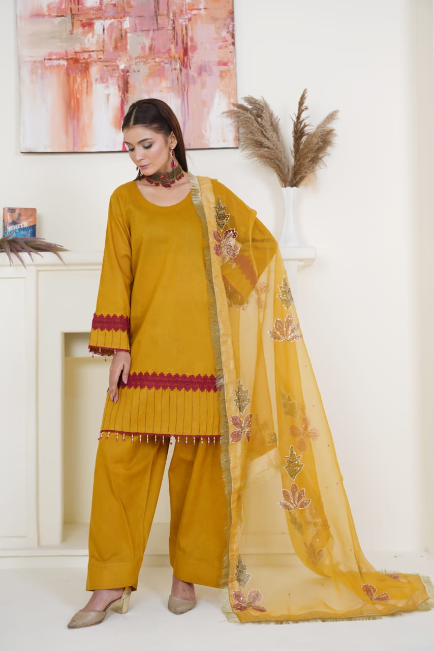 Faiqa Collection | Clothing Brand ✨ Premium Lawn & Organza Wear